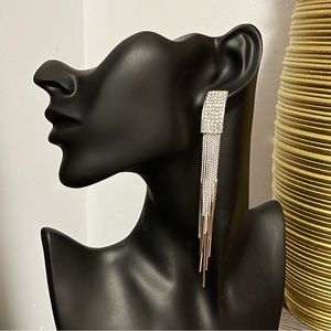 ✨Elegant Silver Tassel Earrings (Hypoallergenic S925 Posts)